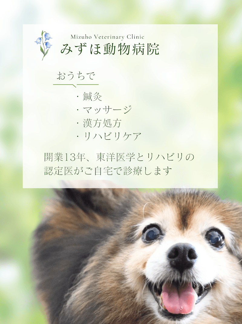 みずほ動物病院