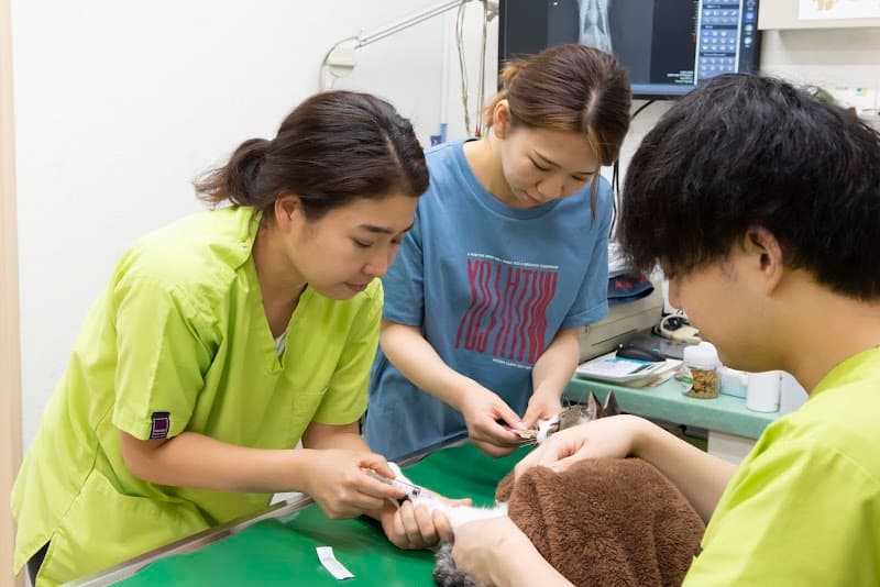 かみのげ動物病院