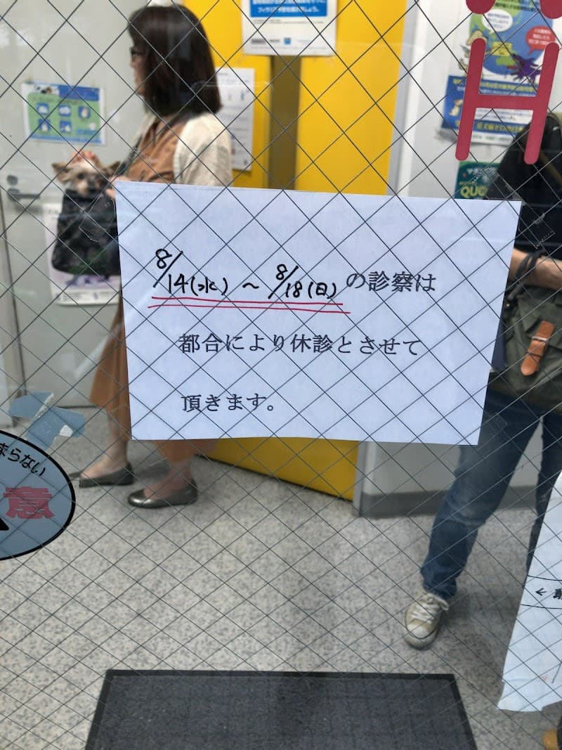 橋本どうぶつ病院