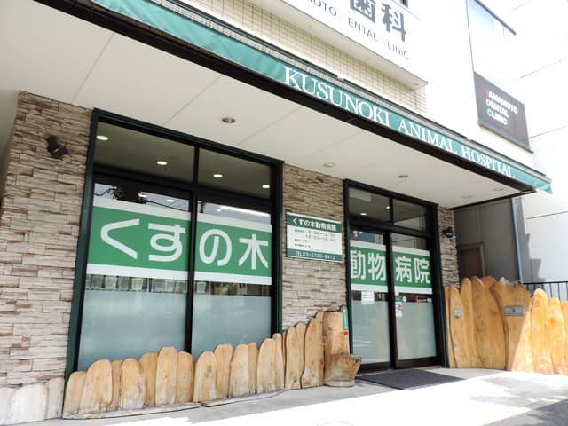 くすの木動物病院