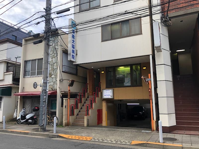 高橋犬猫病院