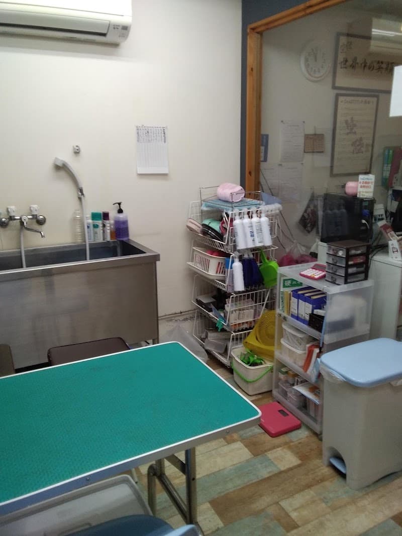 海動物病院 下北沢往診所