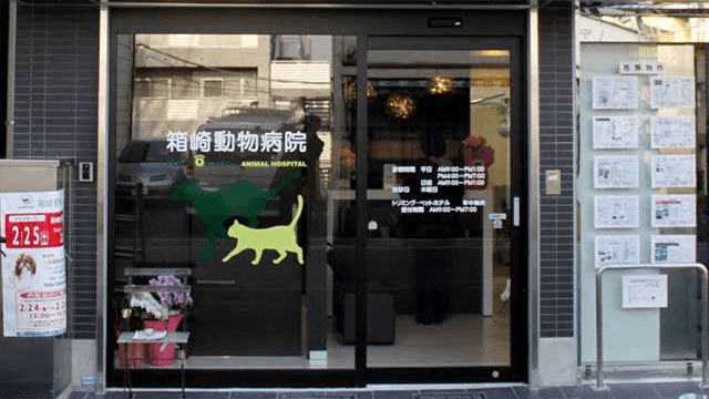 箱崎動物病院