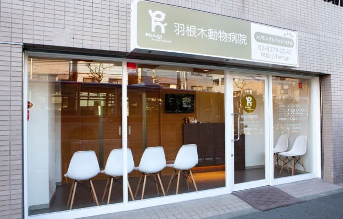 羽根木動物病院 新代田分院