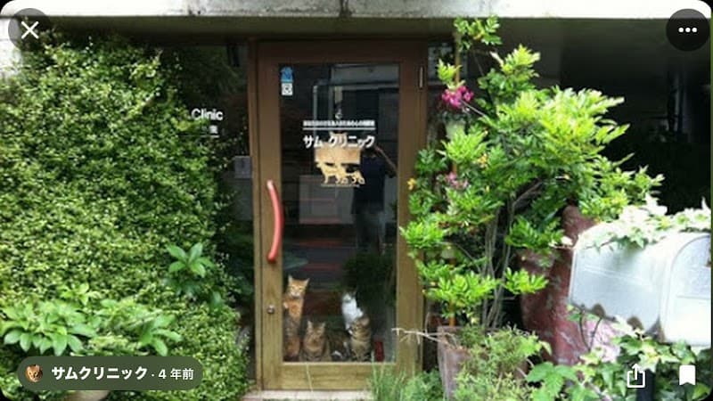 サムクリニック