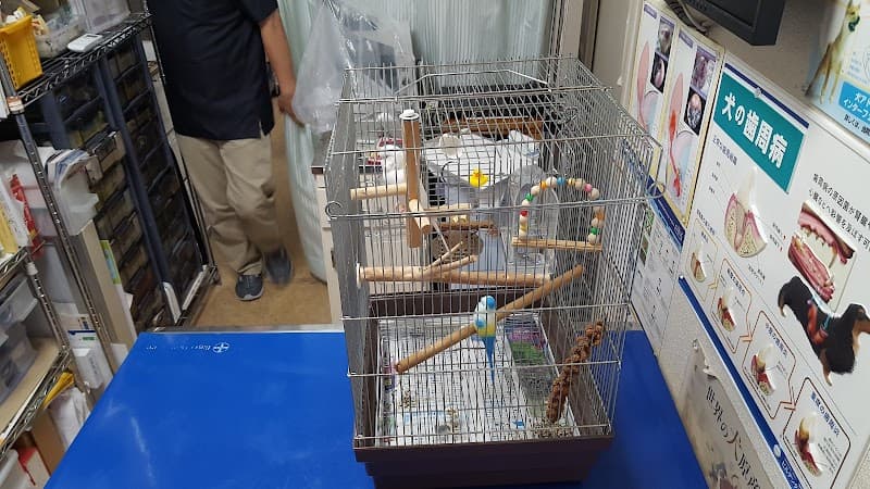 かるがも動物病院