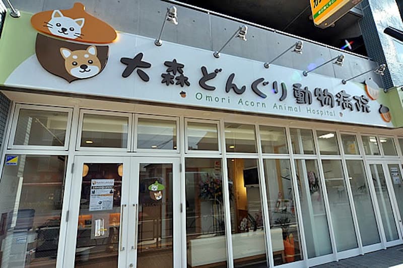 大森どんぐり動物病院
