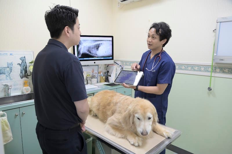 大田中央動物病院