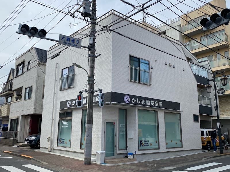 かしま動物病院