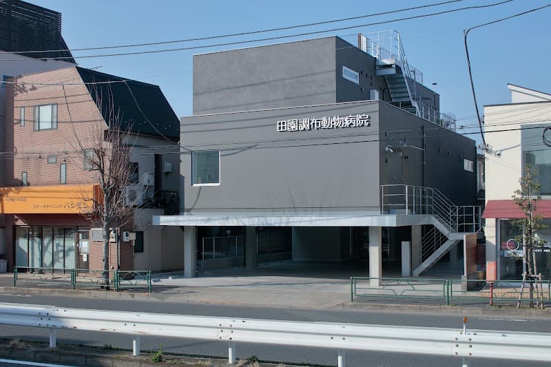 田園調布動物病院