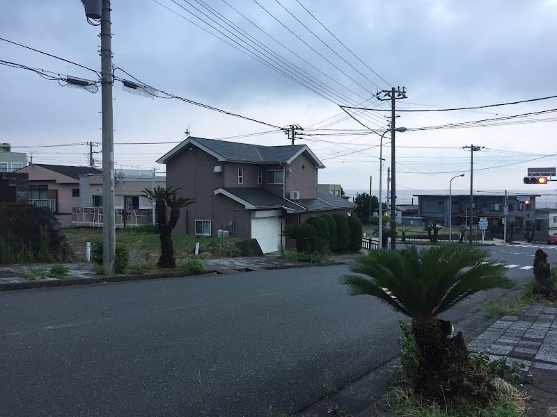 大島ペットクリニック