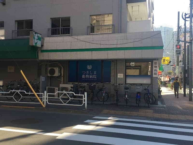勝どき動物病院