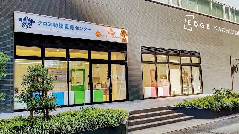 クロス動物医療センター勝どき