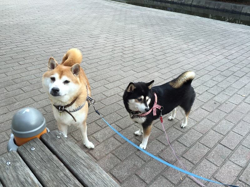 マイドクター銀座動物病院