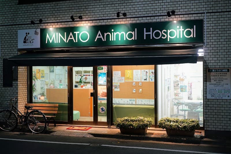 湊どうぶつ病院