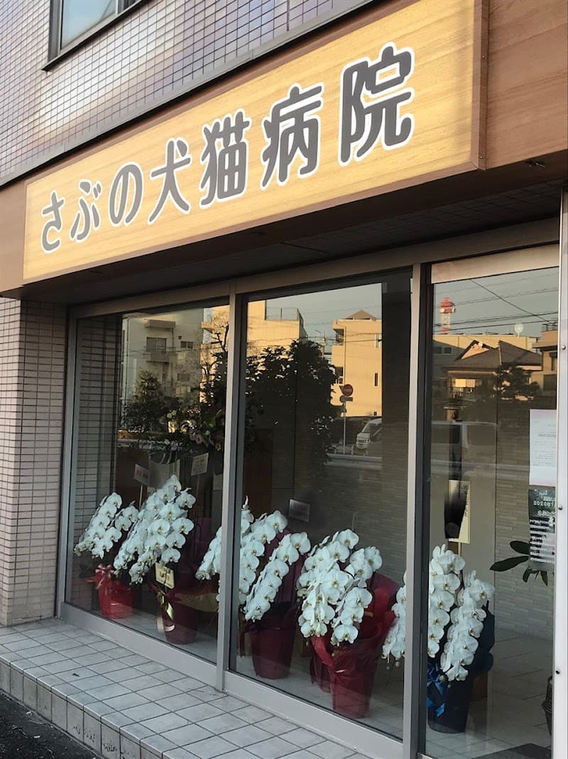 さぶの犬猫病院
