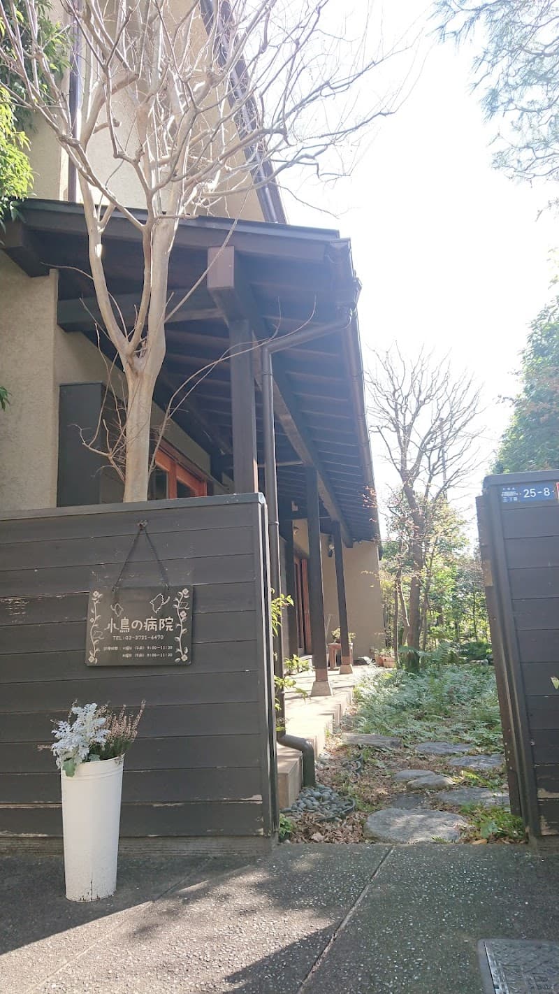 小鳥の病院