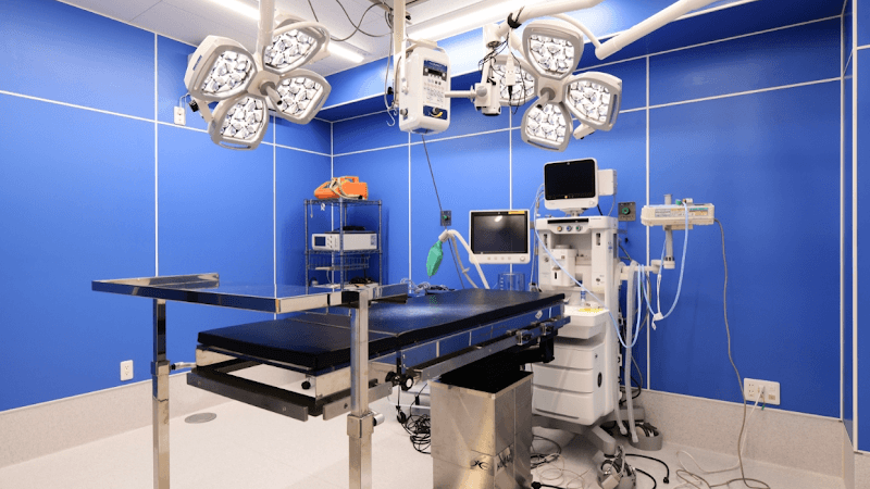 もりかわ動物病院