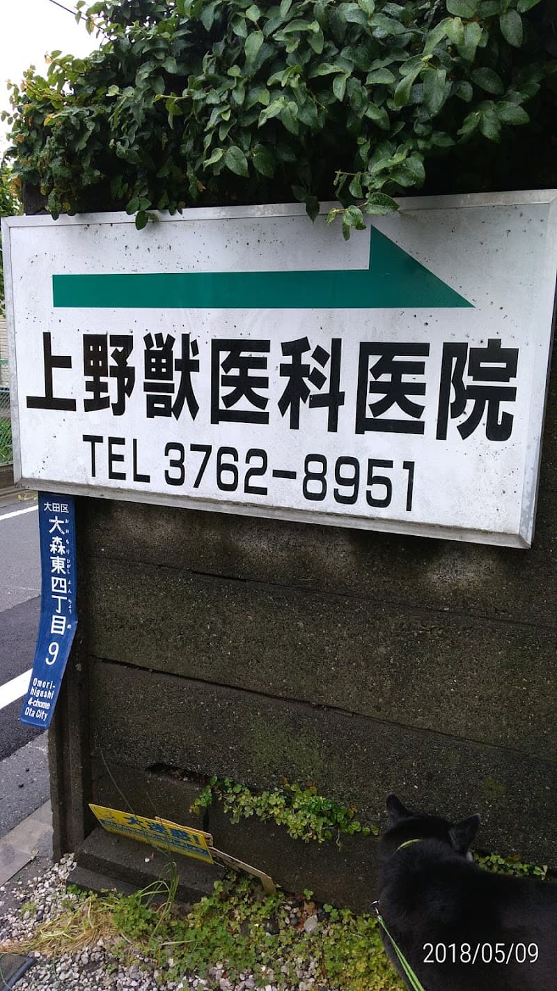 大野獣医科医院