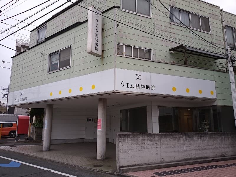 ウエム動物病院