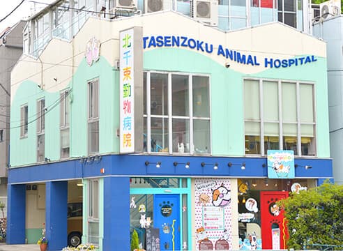 北千束動物病院