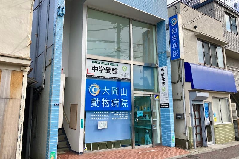 大岡山動物病院
