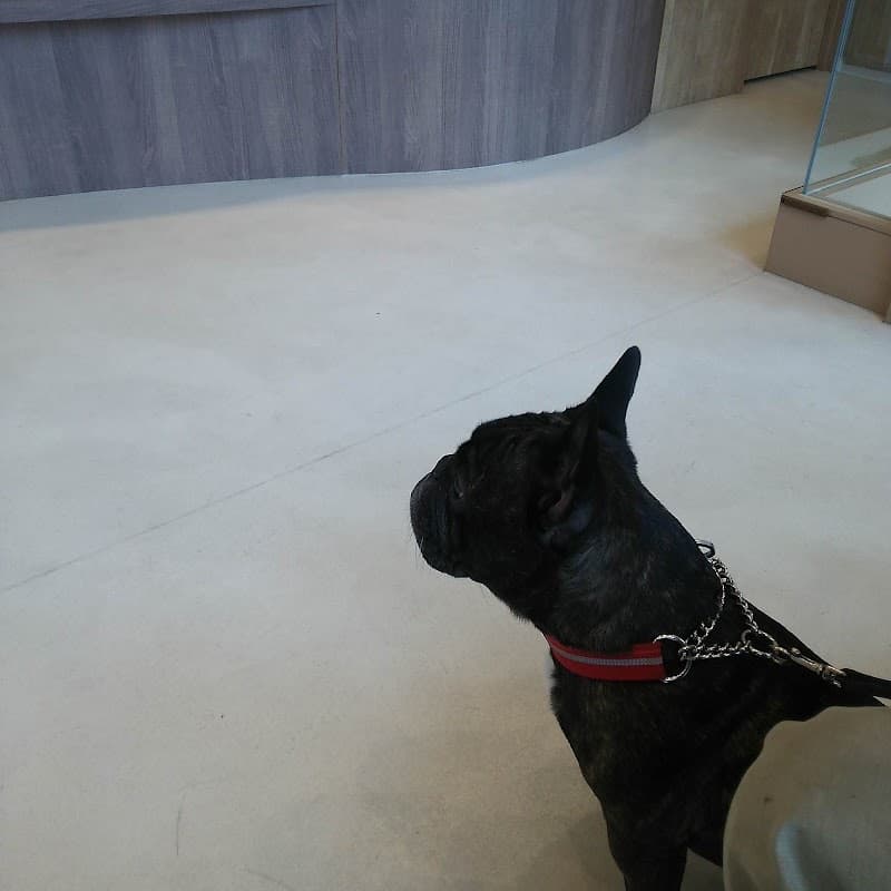 桜花どうぶつ病院