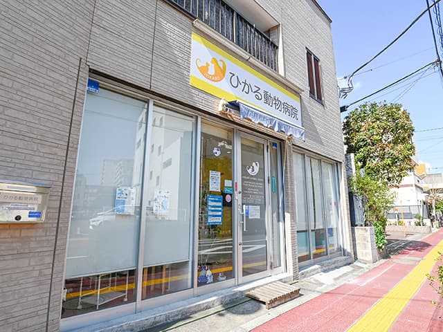 ひかる動物病院
