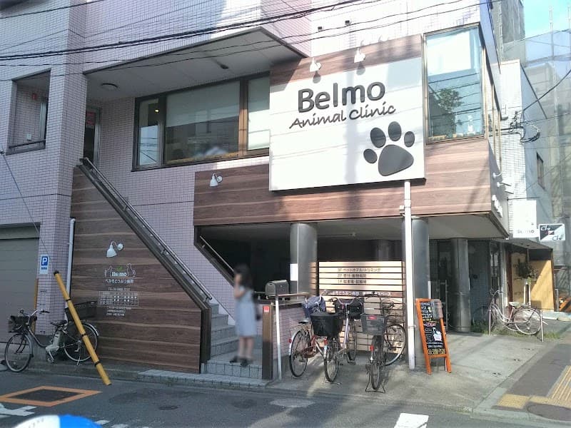 ベルモどうぶつ病院