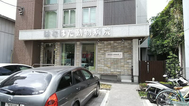 はなはた動物病院