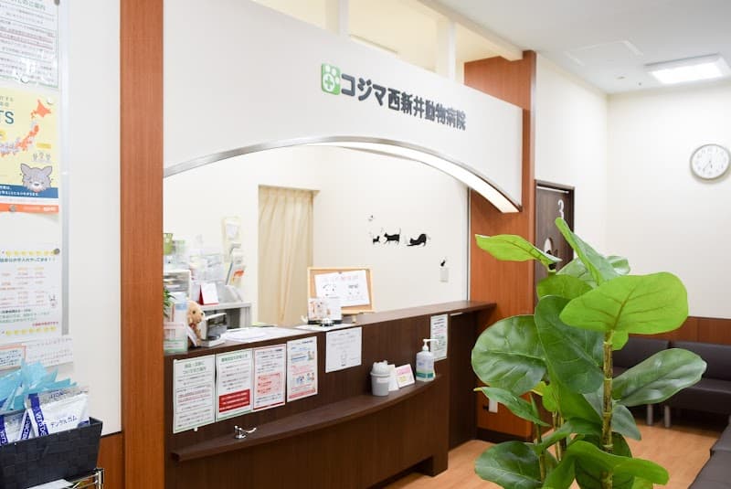 コジマ西新井動物病院
