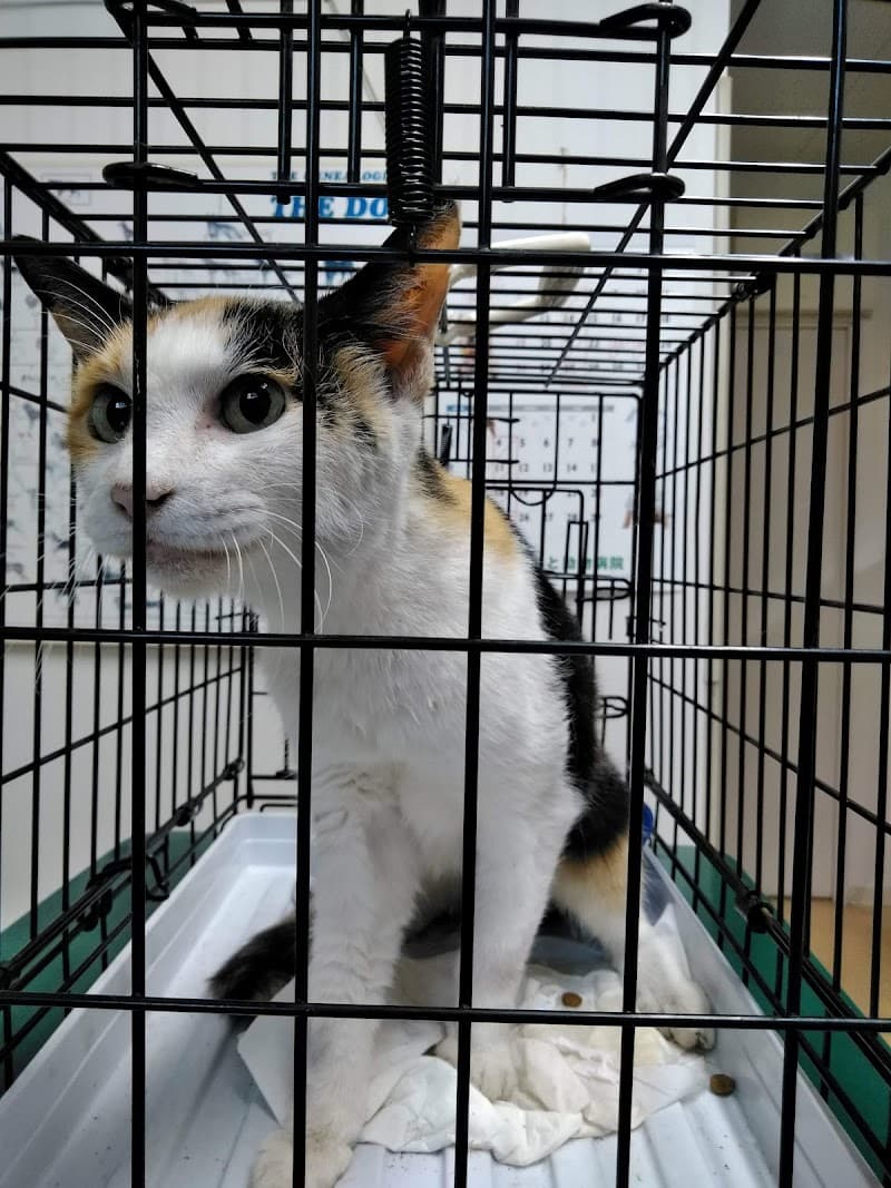 やまもと動物病院