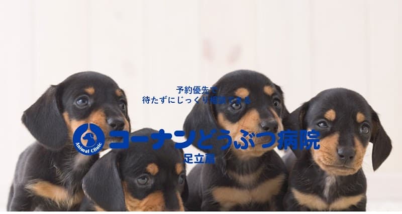 コーナンどうぶつ病院 足立扇
