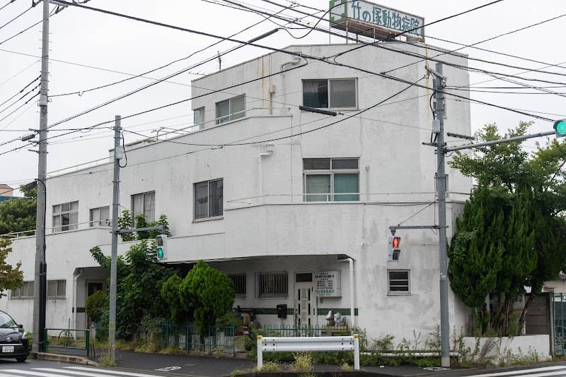竹の塚動物病院