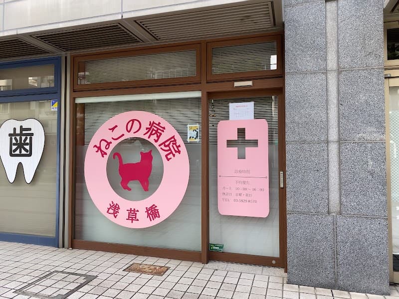 浅草橋ねこの病院