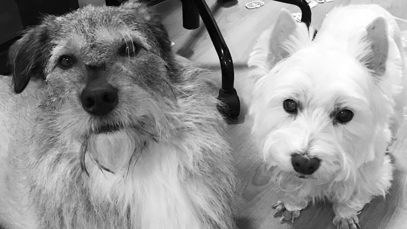 上野の森どうぶつ病院