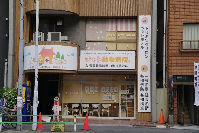 チャト動物病院