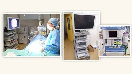 いわせ犬猫クリニック