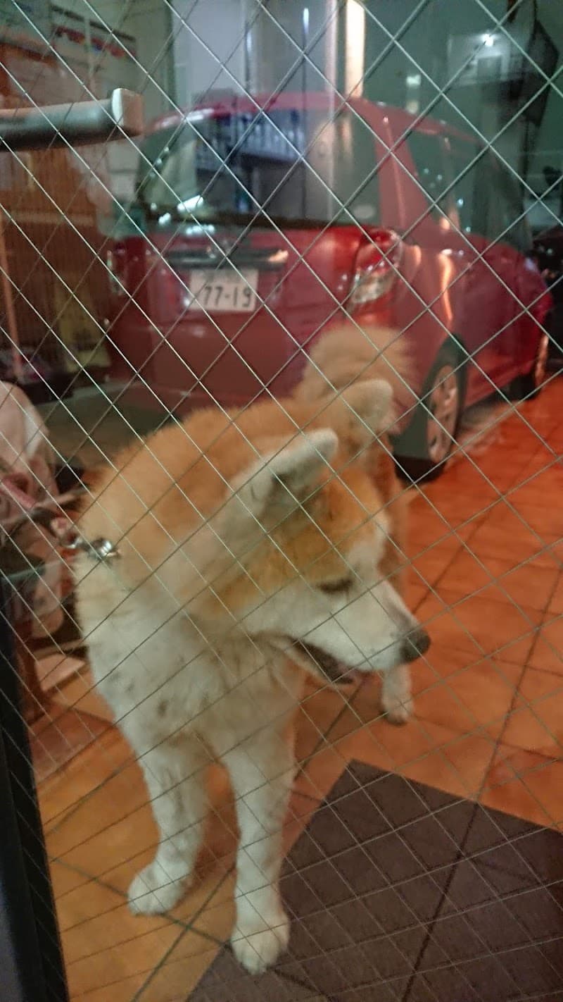 動物病院エル・ファーロ
