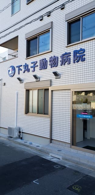 下丸子動物病院