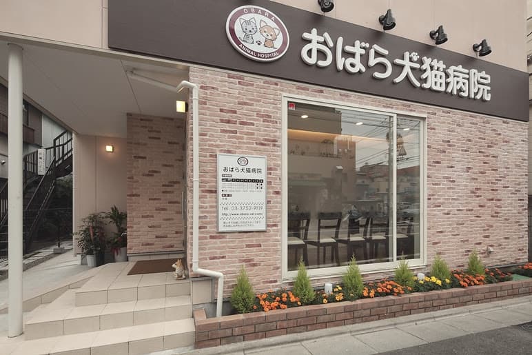 醍醐動物病院