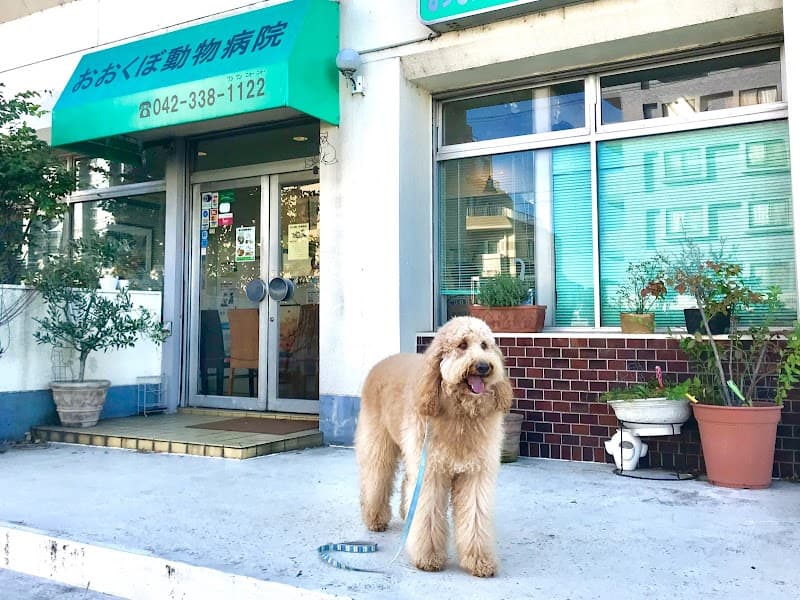 おおくぼ動物病院