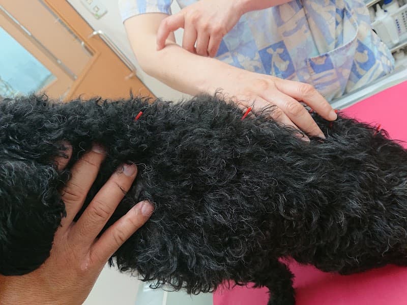 多摩クラーク動物病院