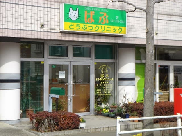 ばぶどうぶつクリニック