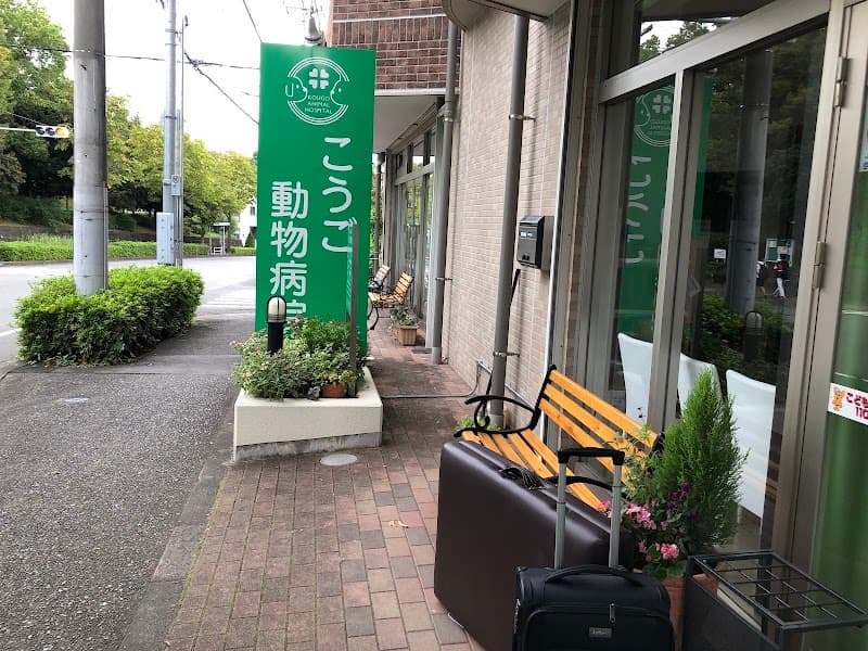こうご動物病院