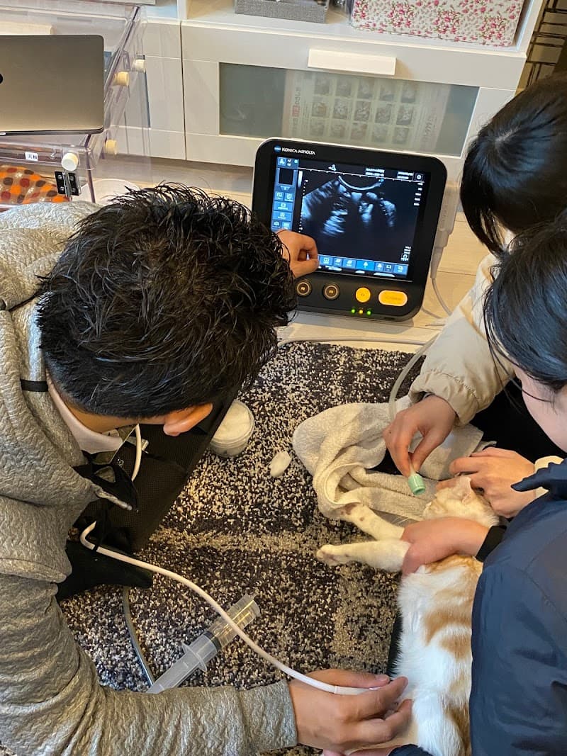 往診専門動物病院わんにゃん保健室