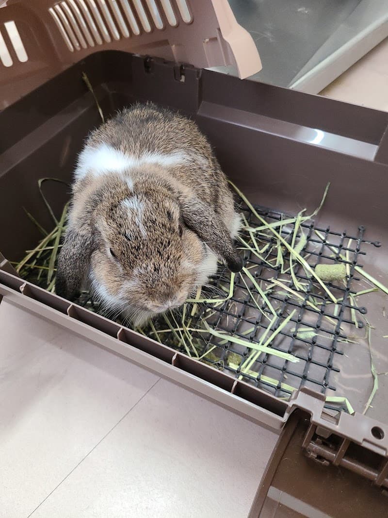 佐野動物病院