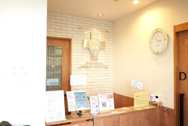 千歳船橋あむ動物病院