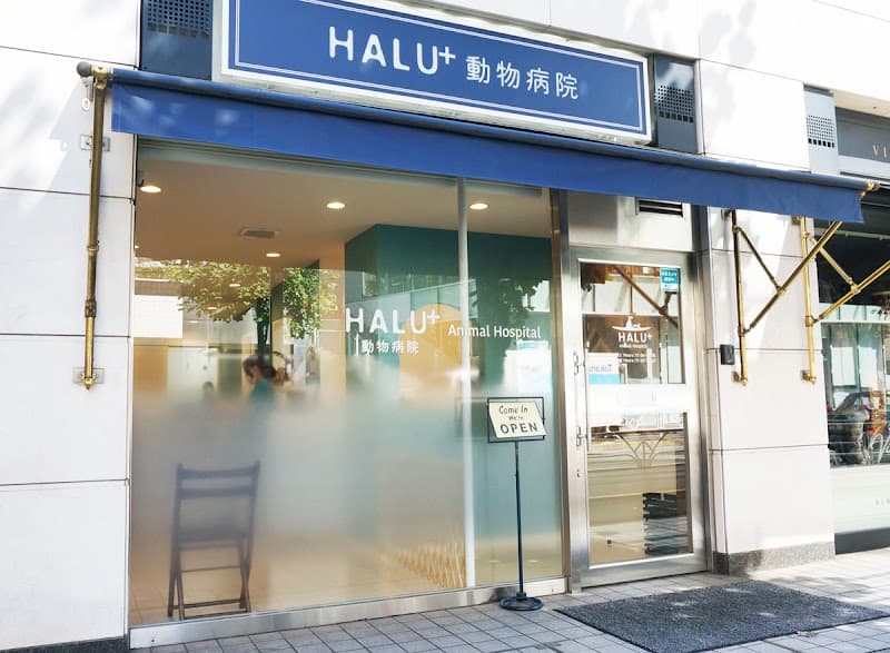 猫の診療所 HALU+動物病院(分院)