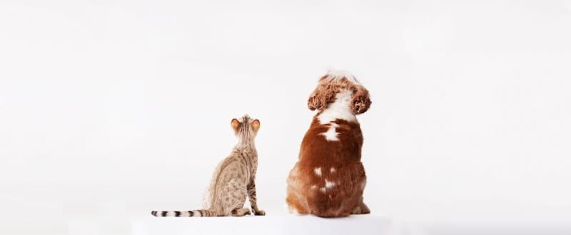 渋谷道玄坂ルルペットクリニック